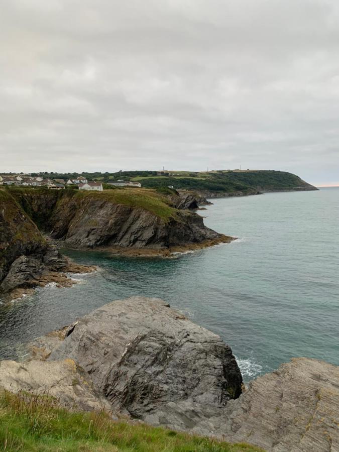 Wild Coastal Retreat At Troed Y Rhiw Aberporth, West Wales Villa Ngoại thất bức ảnh