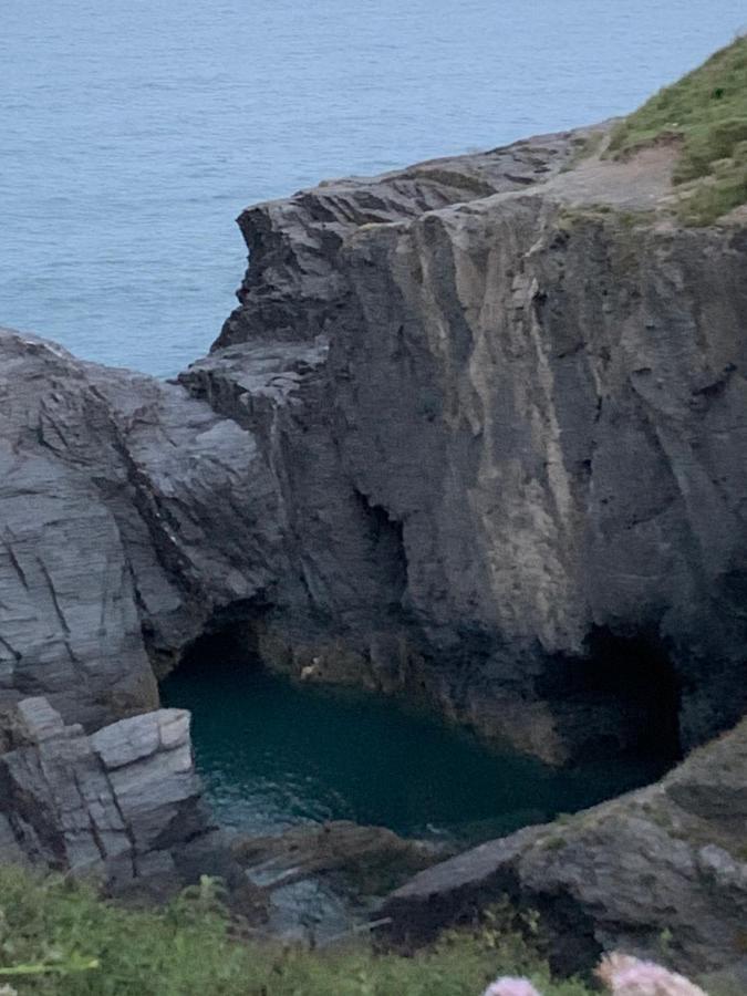 Wild Coastal Retreat At Troed Y Rhiw Aberporth, West Wales Villa Ngoại thất bức ảnh
