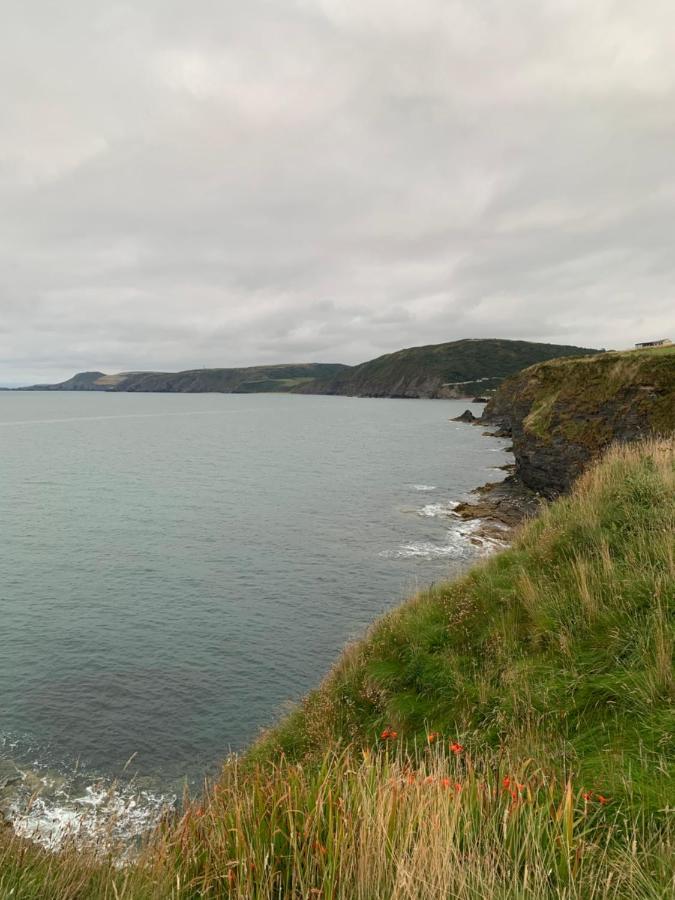 Wild Coastal Retreat At Troed Y Rhiw Aberporth, West Wales Villa Ngoại thất bức ảnh