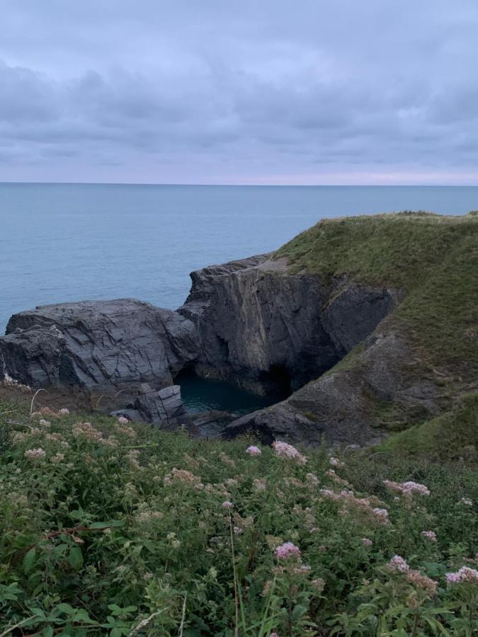 Wild Coastal Retreat At Troed Y Rhiw Aberporth, West Wales Villa Ngoại thất bức ảnh