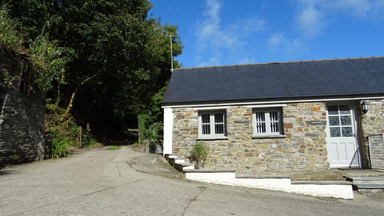 Wild Coastal Retreat At Troed Y Rhiw Aberporth, West Wales Villa Ngoại thất bức ảnh