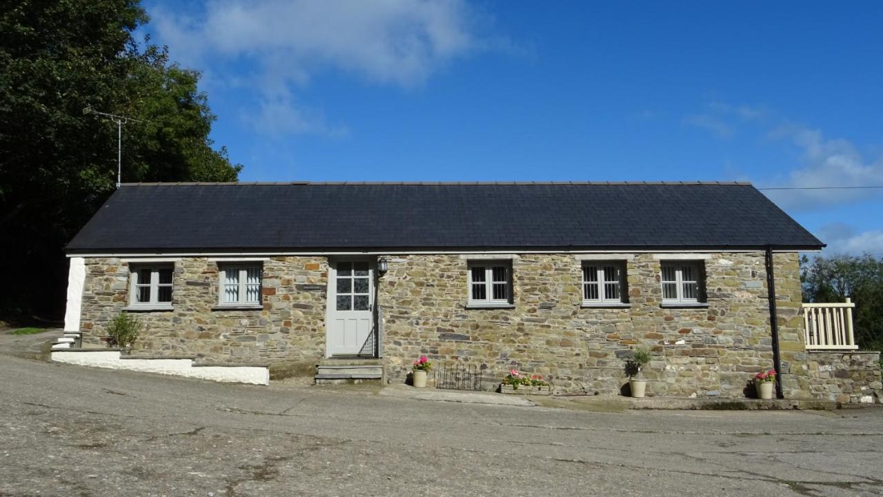 Wild Coastal Retreat At Troed Y Rhiw Aberporth, West Wales Villa Ngoại thất bức ảnh